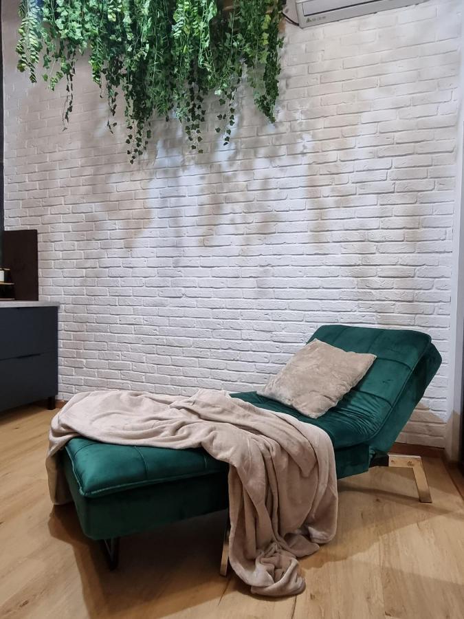 Casa Chiper - Attic Apartment With View 브라쇼브 외부 사진